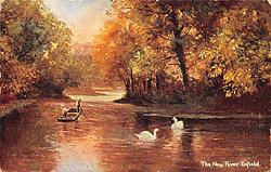 The New River